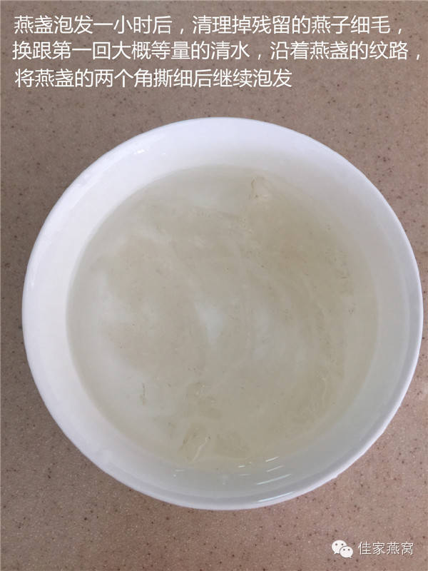 燕窝泡发一小时后，除毛换水继续泡发